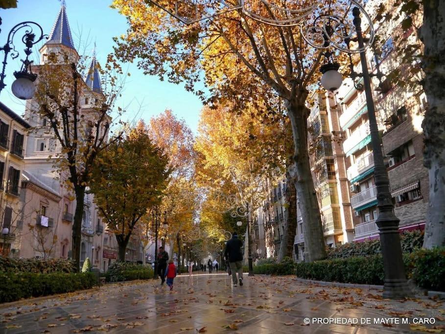 Center Wifi Parking Free Διαμέρισμα Γρανάδα Εξωτερικό φωτογραφία